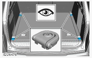 Portable Rinse System