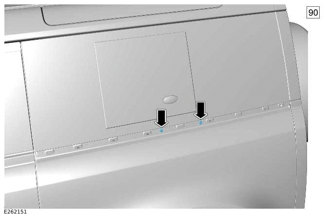 Deployable Roof Ladder