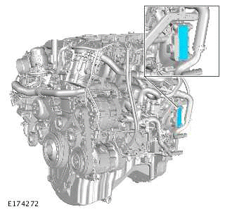 Identification Codes