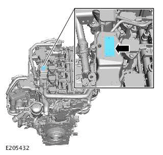 Identification Codes