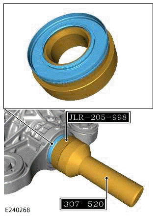 Drive Pinion Seal
